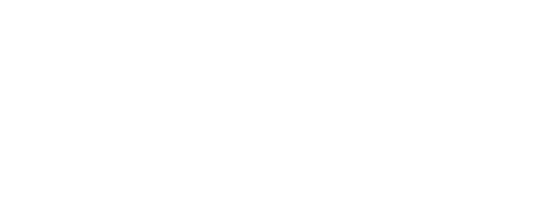 CentralSis